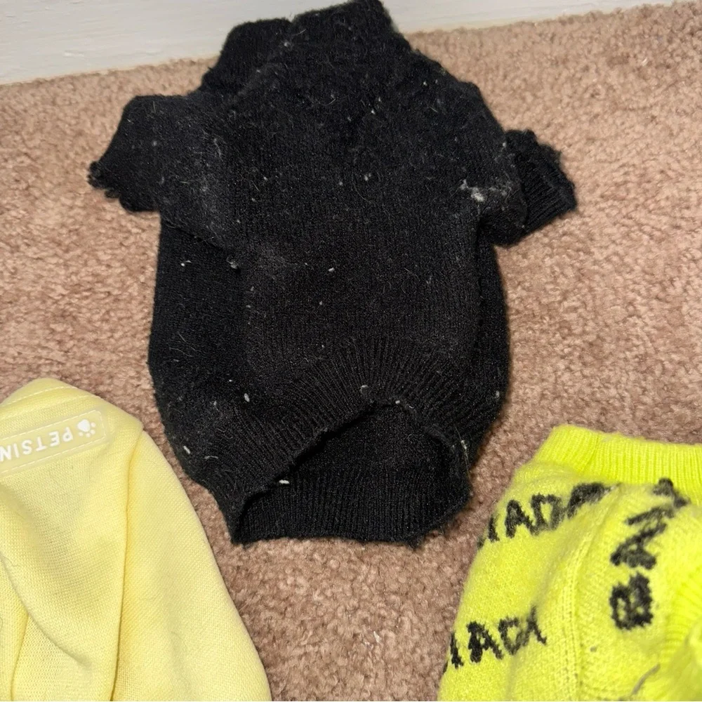 Colorful Dog or cat Sweater Set